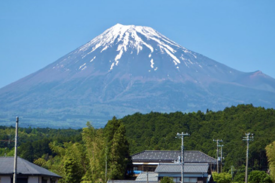 静岡県に特化した迅速な人材供給力